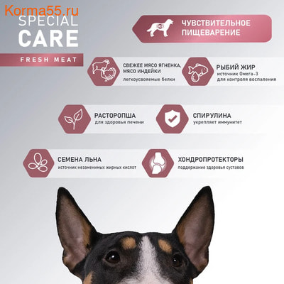   AWARD SPECIAL CARE Sensitive Digestion (,  4)