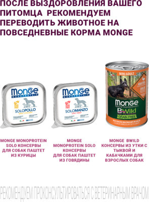 Влажный корм Monge VetSolution Dog Gastrointestinal (вид 5) Влажный корм Monge VetSolution Dog Gastrointestinal (фото, вид 5)