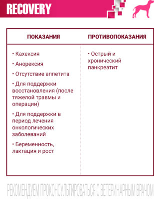 Влажный корм Monge VetSolution Dog Recovery (вид 2) Влажный корм Monge VetSolution Dog Recovery (фото, вид 2)