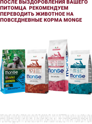 Влажный корм Monge VetSolution Dog Recovery (вид 5) Влажный корм Monge VetSolution Dog Recovery (фото, вид 5)