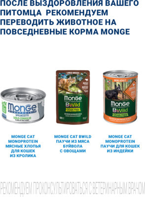 Влажный корм Monge VetSolution Cat Dermatosis (вид 6) Влажный корм Monge VetSolution Cat Dermatosis (фото, вид 6)