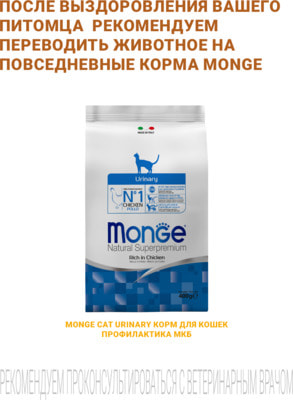 Влажный корм Monge VetSolution Cat Urinary Struvite (вид 6) Влажный корм Monge VetSolution Cat Urinary Struvite (фото, вид 6)