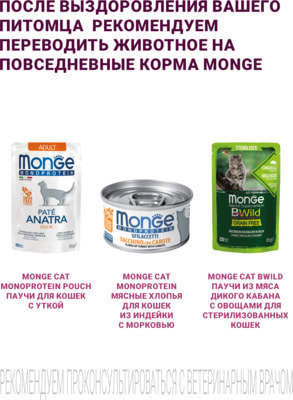 Влажный корм Monge VetSolution Cat Gastrointestinal (вид 6) Влажный корм Monge VetSolution Cat Gastrointestinal (фото, вид 6)