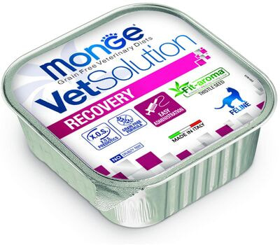 Влажный корм Monge VetSolution Cat Recovery (вид 1) Влажный корм Monge VetSolution Cat Recovery (фото, вид 1)