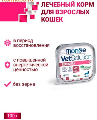 Влажный корм Monge VetSolution Cat Recovery (вид 2) Влажный корм Monge VetSolution Cat Recovery (фото, вид 2)