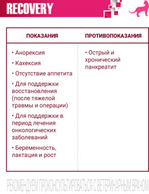 Влажный корм Monge VetSolution Cat Recovery (вид 3) Влажный корм Monge VetSolution Cat Recovery (фото, вид 3)