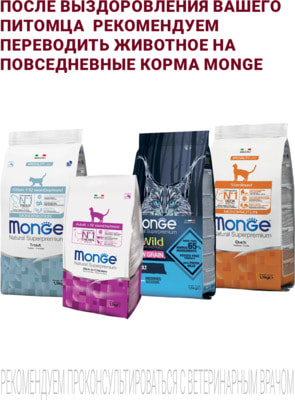Влажный корм Monge VetSolution Cat Recovery (вид 6) Влажный корм Monge VetSolution Cat Recovery (фото, вид 6)