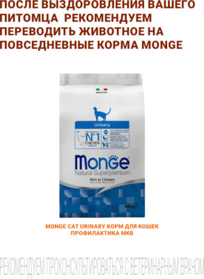 Влажный корм Monge VetSolution Cat Renal and Oxalate (вид 6) Влажный корм Monge VetSolution Cat Renal and Oxalate (фото, вид 6)