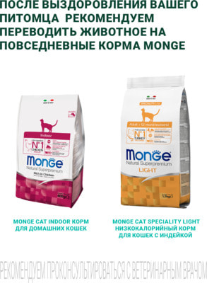 Сухой корм Monge VetSolution Cat Diabetic (вид 5) Сухой корм Monge VetSolution Cat Diabetic (фото, вид 5)