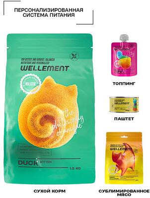 ����� ���� Wellement � ����� ��� ����� (����, ��� 2)