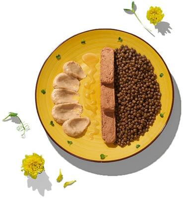 ����� ���� Wellement � ����� ��� ����� (����, ��� 3)