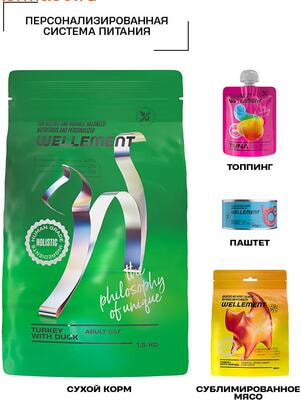 ����� ���� Wellement ��� �������� �����. ������� � ���� (����, ��� 2)