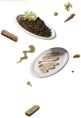 ����� ���� Wellement ��� �������� �����. ������� � ���� (����, ��� 3)