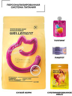 ����� ���� Wellement ��� ��������������� �����. ������� � ������ (����, ��� 2)