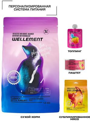 ����� ���� Wellement ��� ����� ������� �����. ������� � ������ (����, ��� 2)