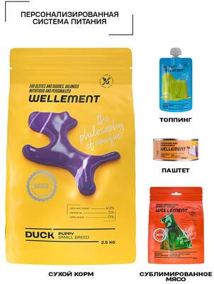 ����� ���� Wellement ��� ������ ��������� �����. ���� (����, ��� 2)