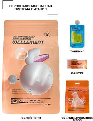 ����� ���� Wellement ��� ����� ��������� �����. ������� � ������ (����, ��� 2)