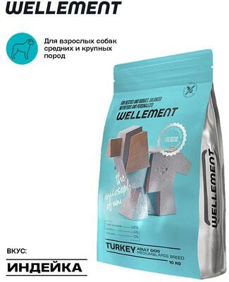 ����� ���� Wellement ��� ����� ������� � ������� �����. ������� (����, ��� 1)