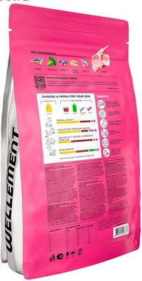 ����� ���� Wellement ��� ����� � �������������� ������������. ������� (����, ��� 1)