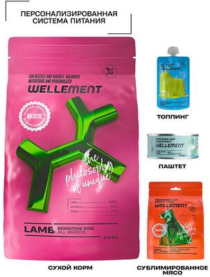 ����� ���� Wellement ��� ����� � �������������� ������������. ������� (����, ��� 3)