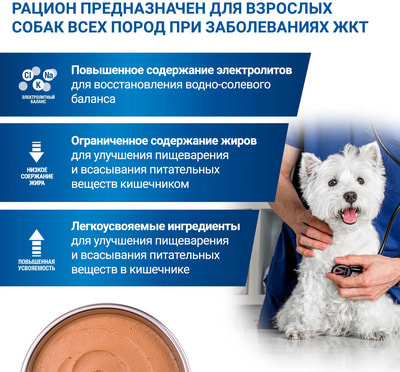 Влажный корм Monge VetSolution Dog Gastrointestinal (вид 5) Влажный корм Monge VetSolution Dog Gastrointestinal (фото, вид 5)