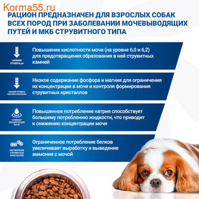 Сухой корм Monge VetSolution Dog Urinary Struvite (вид 4) Сухой корм Monge VetSolution Dog Urinary Struvite (фото, вид 4)