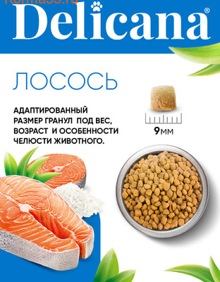 Сухой корм DELICANA Сух.д/кошек Лосось (вид 3) Сухой корм DELICANA Сух.д/кошек Лосось (фото, вид 3)