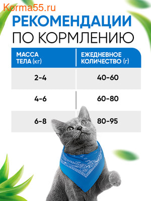 Сухой корм DELICANA Сух.д/кошек Лосось (вид 4) Сухой корм DELICANA Сух.д/кошек Лосось (фото, вид 4)