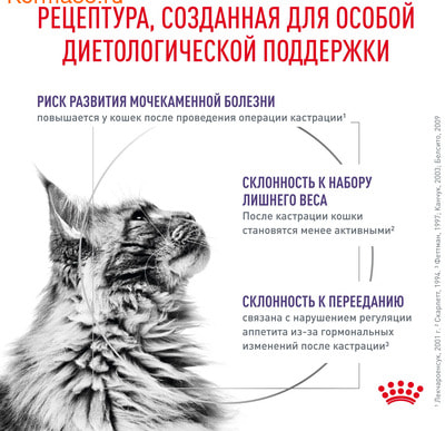 Влажный корм Royal canin Neutered Balance (вид 2) Влажный корм Royal canin Neutered Balance (фото, вид 2)