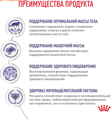 Влажный корм Royal canin Neutered Balance (вид 3) Влажный корм Royal canin Neutered Balance (фото, вид 3)