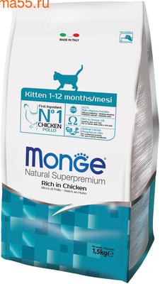   Monge Cat Kitten () (,  1)