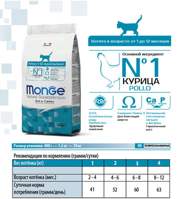   Monge Cat Kitten () (,  7)