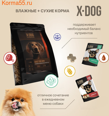   X-DOG Adult Dog Maxi () (,  2)