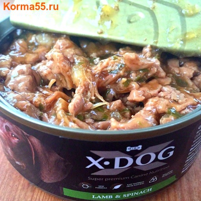   X-DOG    (,  1)