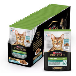 ��� 2