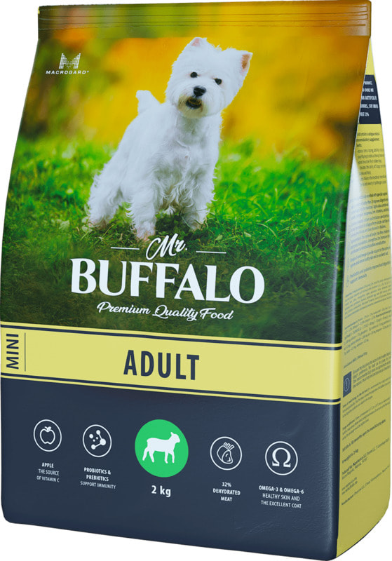 Buffalo and dog 2025