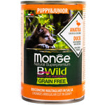   MONGE DOG BWILD, ,   .  2