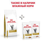   Royal canin Urinary S/O LP34 feline.  2