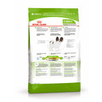   Royal canin X-SMALL ADULT.  2