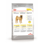   Royal canin MEDIUM DERMACOMFORT.  2