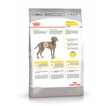   Royal canin MAXI DERMACOMFORT.  2