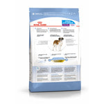   Royal canin GIANT JUNIOR.  2