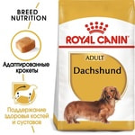 Сухой корм Royal canin DACHSHUND ADULT (ТАКСА ЭДАЛТ). Вид 2