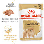   Royal Canin POMERANIAN ( ).  2