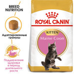   Royal canin KITTEN MAINE COON.  2