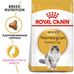   Royal Canin Norwegian Forest Cat Adult.  2
