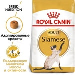   Royal canin SIAMESE.  2