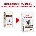   Royal canin GASTROINTESTINAL FELINE .  2