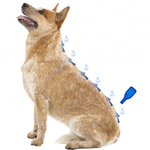 Капли Beaphar IMMO Shield Line-on от паразитов для собак средних пород. Вид 2