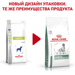   Royal canin DIABETIC DS 37 CANINE.  2